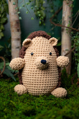 Cute hedgehog amigurumi toy thumbnail