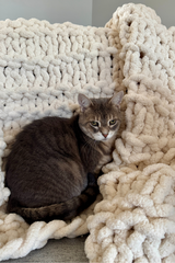 Chunky Knit Throw  thumbnail