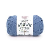 Lion Brand 100% Organic Cotton Yarn Cypress #004 1.75 oz 180 yds Peru.  Tan/Gray 