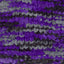 Spellbound - Swatch Image