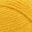 Sunflower - Swatch Image