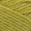 Dirty Chartreuse - Swatch Image