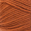 Pumpkin Spice - Swatch Image