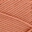 Papaya - Swatch Image