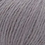 Pewter - Swatch Image