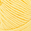Daffodil - Swatch Image