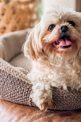Crochet Dog Bed thumbnail