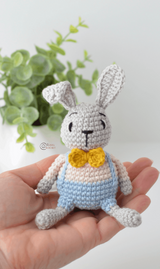 Bunny Held Close Up View  thumbnail