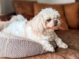 Crochet Dog Bed thumbnail