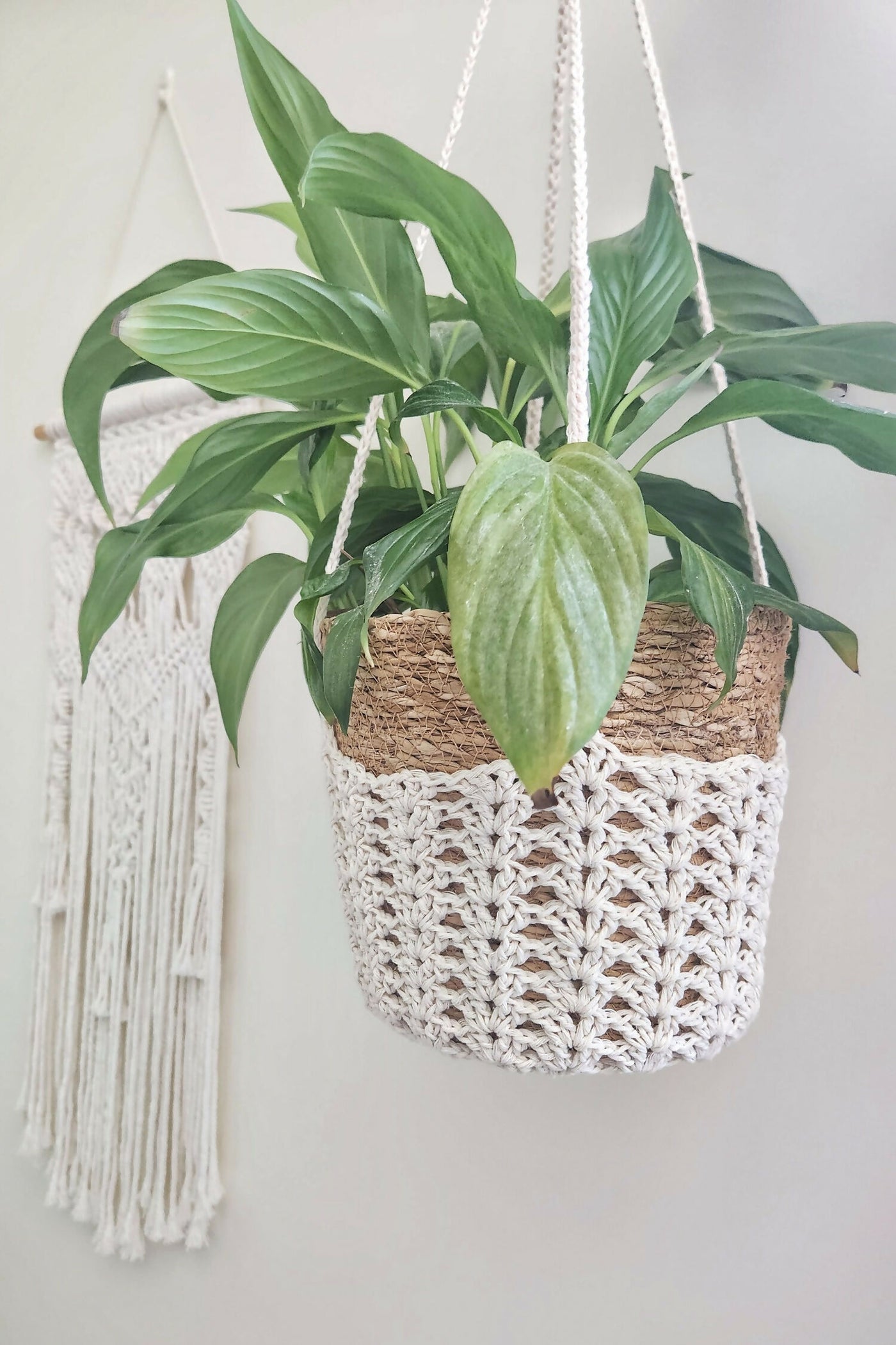 crochet plant hanger easy Iris Plant Hanger (Crochet) – Lion Brand Yarn