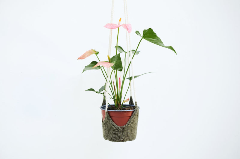 knit plant hanger pattern Perennial Plant Hanger (Knit) – Lion Brand Yarn