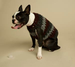 Striped Dog Sweater Pattern (Crochet)