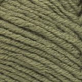 Buy Lion® Color Waves Variegated Yarn at S&S Worldwide