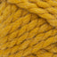 Mango Chutney - Swatch Image