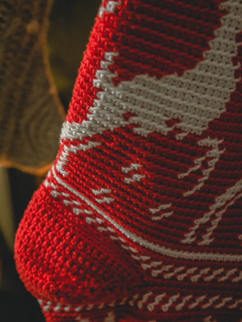 Crochet Kit - On Prancer Christmas Stocking