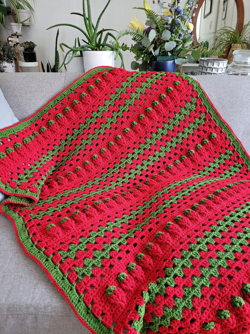 Crochet Kit - Strawberry Sunshine Blanket