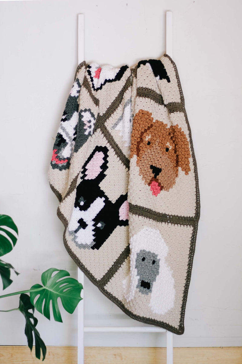 Crochet Kit - Best in Show C2C Blanket