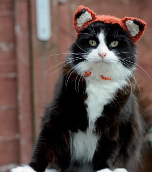 Cats In Hats - Feline Fox (Crochet)