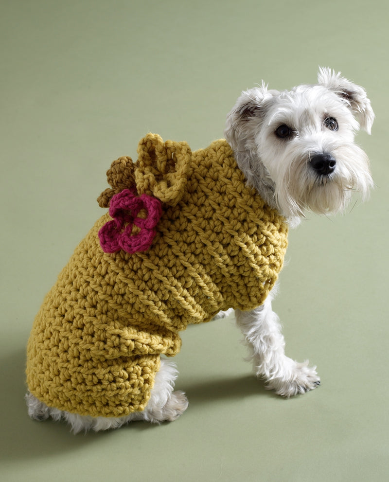Flower Garden Dog Sweater Pattern (Crochet) – Lion Brand Yarn Flower Garden Dog Sweater Pattern (Crochet) – Lion Brand Yarn