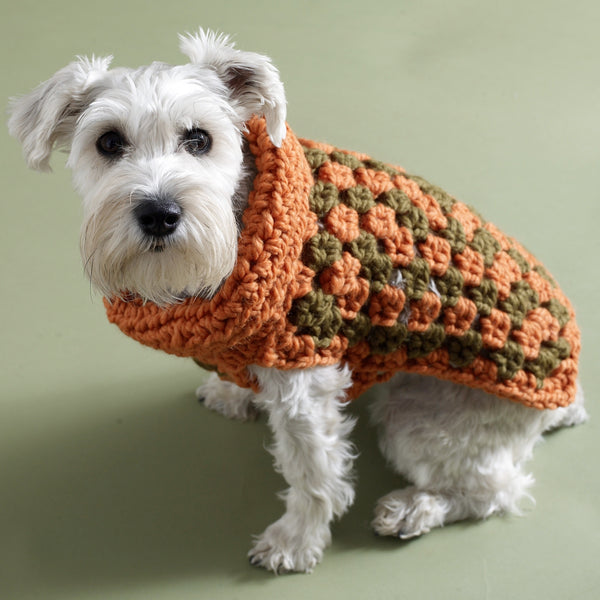 Urban Granny Dog Sweater Pattern (Crochet) – Lion Brand Yarn