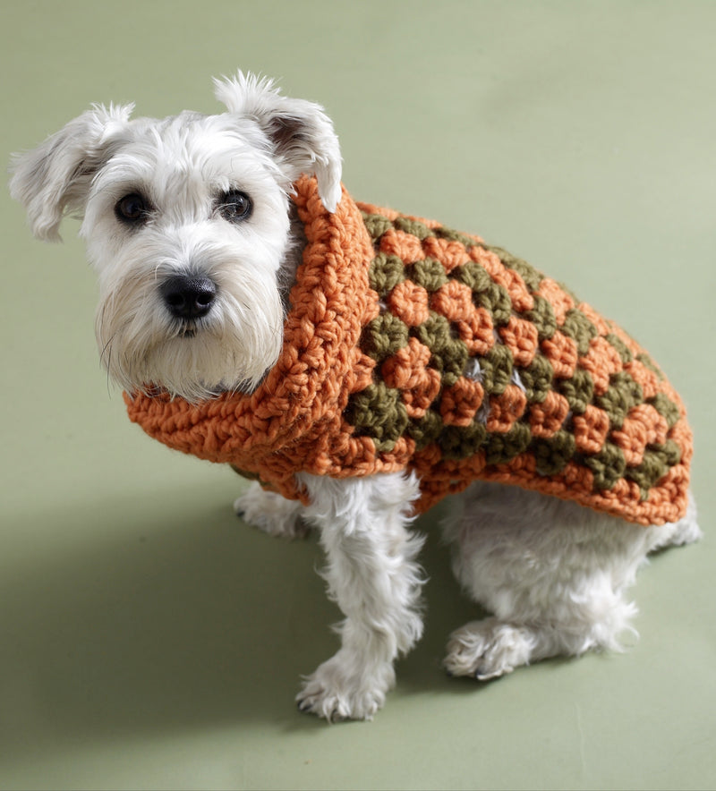 Urban Granny Dog Sweater Pattern (Crochet) โ Lion Brand Yarn