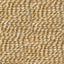 Rococo - Swatch Image