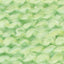 Spring Green - Swatch Image
