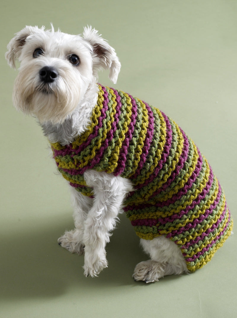 City Stripes Dog Sweater Pattern (Knit)