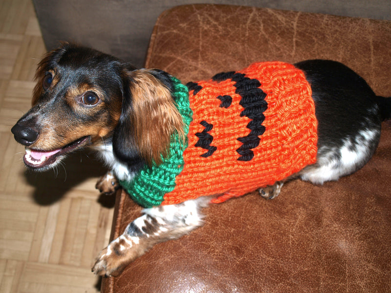 Jack O Lantern Dog Sweater Pattern (Knit)