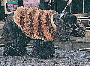 Knit Dog Fur Coat - Version 1