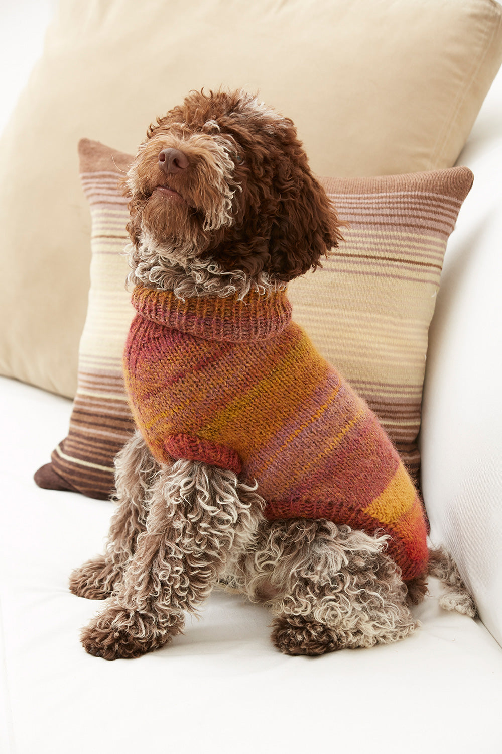Proud Puppy Dog Sweater Pattern (Knit) – Lion Brand Yarn