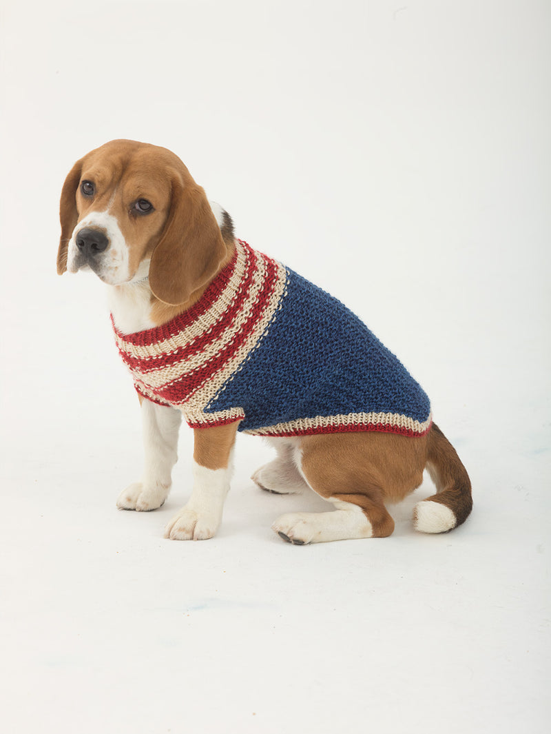 The Patriot Dog Sweater Pattern (Knit)