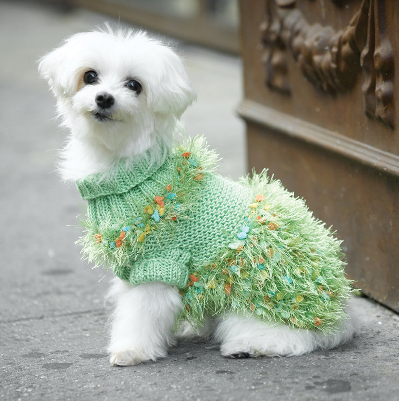 Knitting Tutorial Knitting Patterns For Small Dog Coats Tea Cup