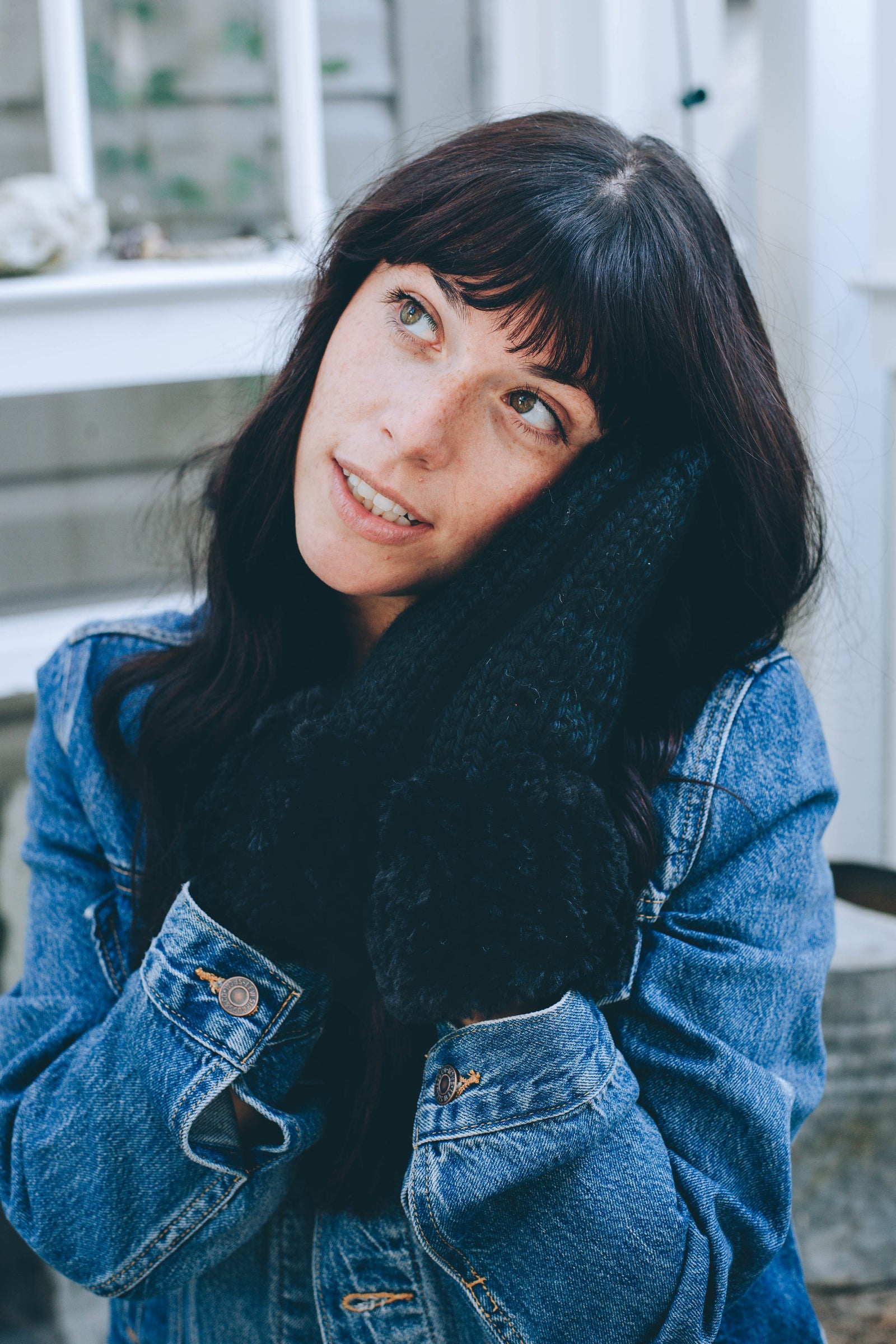 Juneau Knit Mittens Lion Brand Yarn