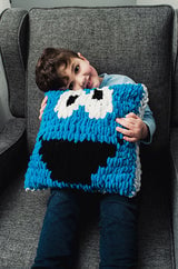 Cookie Monster Pillow (Crafts) thumbnail