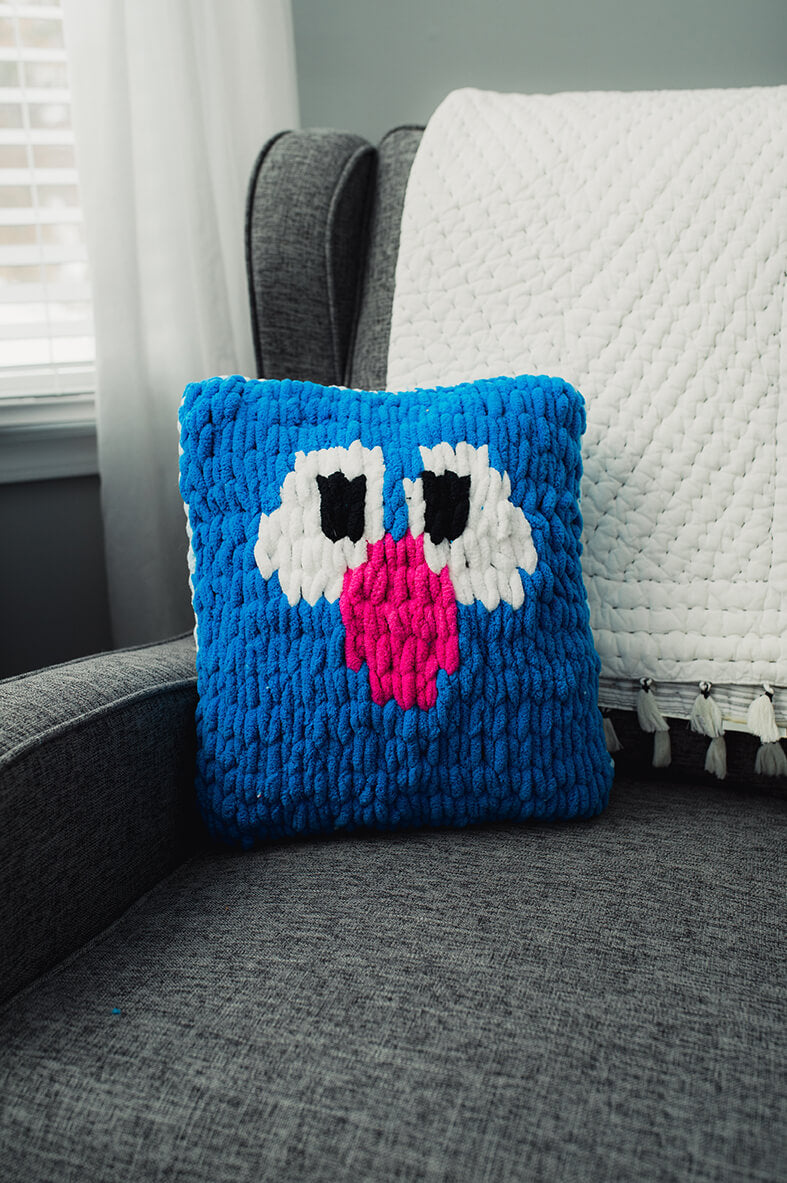 Grover Eyes Pillow (Crafts)