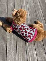 Vibrant Leopard Dog Sweater (Knit) thumbnail
