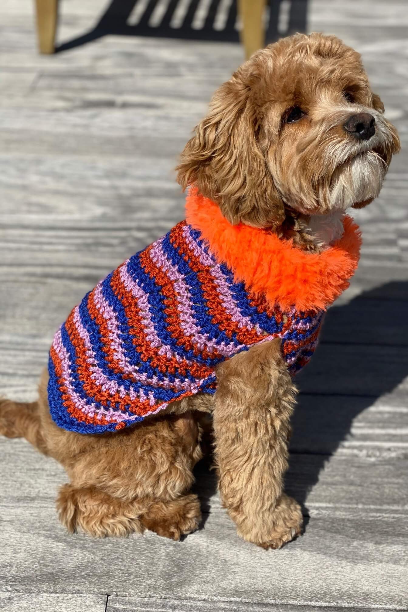Pluto Dog Sweater (Crochet) Lion Brand Yarn
