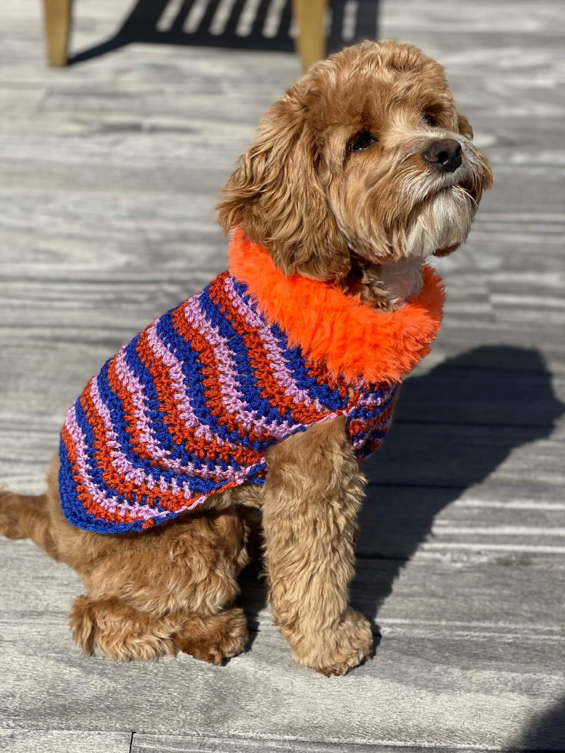 Pluto Dog Sweater (Crochet)