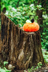 Fuzzy Pumpkin (Crochet) thumbnail