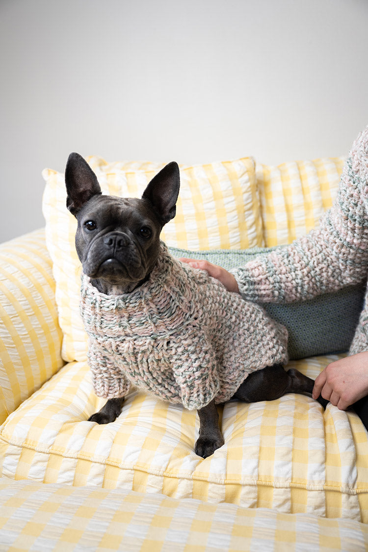 Lulu Dog Sweater (Knit)