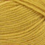 Mustard - Swatch Image