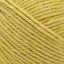 Maize - Swatch Image