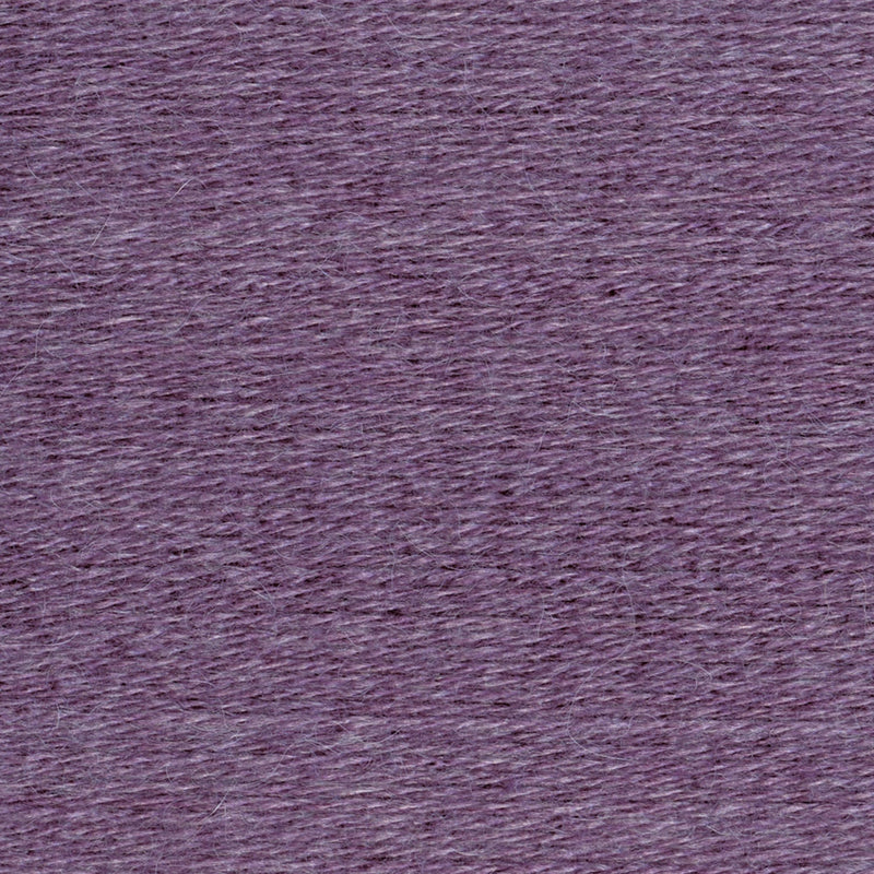 swatch__Purple Aster