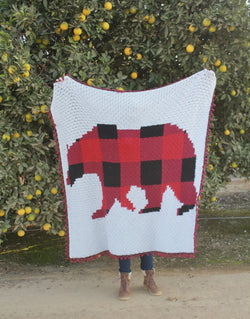 Crochet Kit - C2C Plaid Bear Blanket