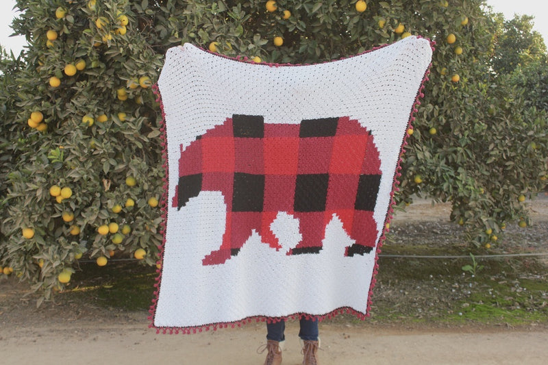 Crochet Kit - C2C Plaid Bear Blanket