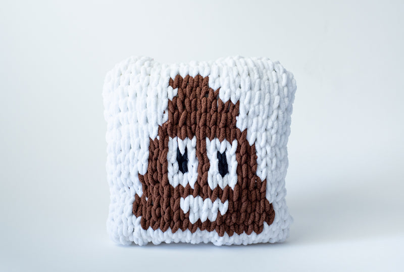 Poop Emoji Pillow (Craft)