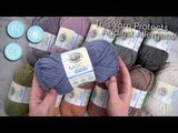 Basic Stitch Anti-Microbial Thick & Quick® Yarn thumbnail