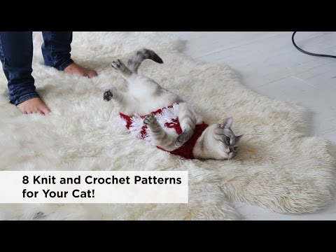Prospect Park Pretzel Cat Toy (Knit)