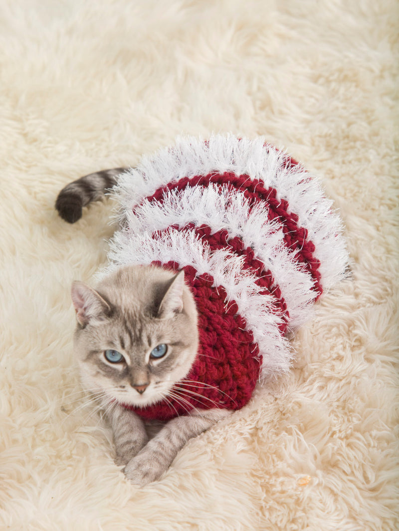 Holiday Pet Sweater (Crochet)